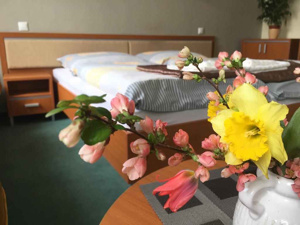 Apartman Darmon Πιεστάνυ Εξωτερικό φωτογραφία